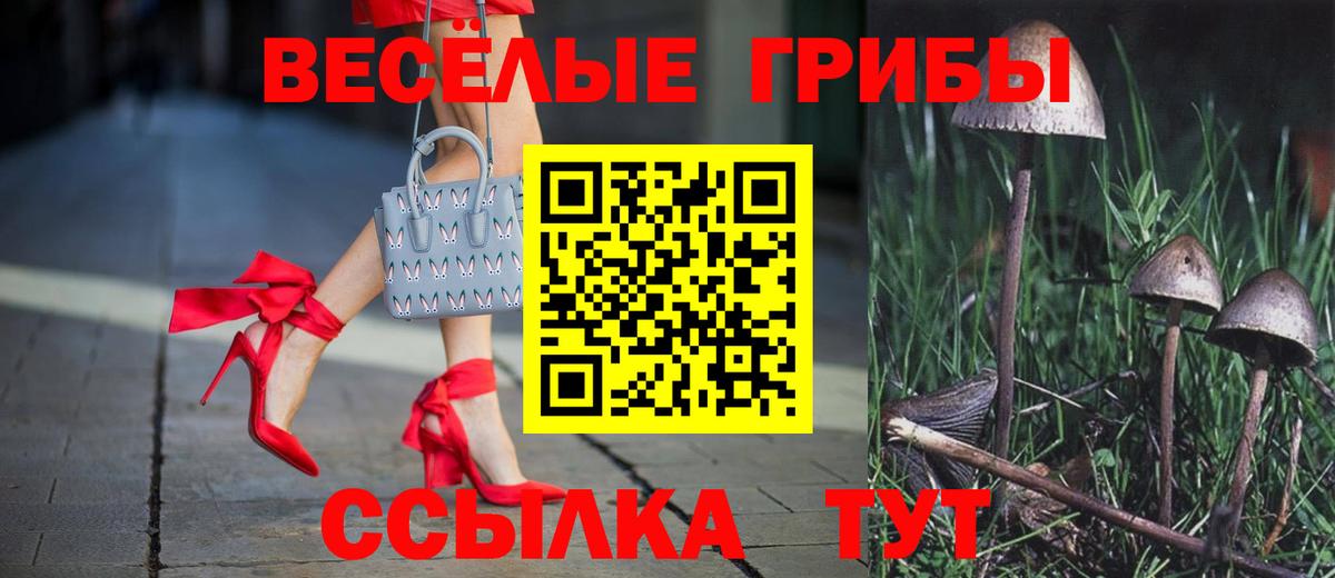 Ялуторовск  Псилоцибиновые грибы Cubensis  Галлюциногенные грибы мицелий  Вход с VPN 